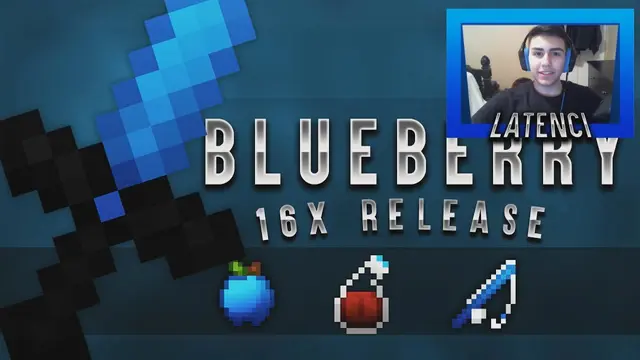 Blueberry 16x